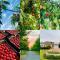 L'Bloom Country House - Tulbagh