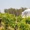 Domescapes in the Vines - Sidmouth