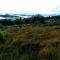 Granite Croft - Appin