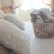 Chambres d'Hôtes Le Tilleul photo 14
