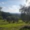 VILLORE - Home Sweet Home Tuscany