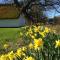 Apple Cottage