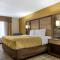 Quality Inn & Suites - Greensboro-High Point