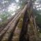 Wayanad Snow Vibes - Vythiri