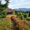 Forest House