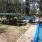 Tree House Hostel