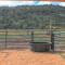 Cougar Canyon