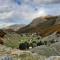 Katun Mokra accommodation & horseback riding - 波德戈里察