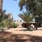 Oasis Fighting Kangaroo - Dahab
