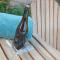 Villa Villa Sas by Interhome