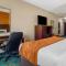 Comfort Suites Knoxville West - Farragut - Knoxville