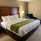 Comfort Inn Columbia West