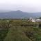Jiji Wu Homestay