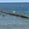 Mare Balticum Urlaub auf Rügen