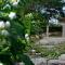 Resort Railumpoo (Farm and Camping) - Nakhon Sawan