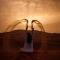 Mhamid Desert Camp Tours