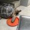 Art Turtle