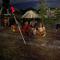 Mangoo Glamping