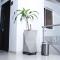 BLH Business Loft Hotel - 布卡拉曼加