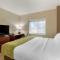 Comfort Suites Marysville-Yuba City - Marysville