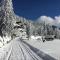 Chalet Bergli - Rigi Kaltbad