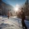 Chalet Happy Family, secluded location, 15 min to salzburg and just short to t lakes sound of music, BBQ&bikes&sunbeds for free, up to 14p - Golling an der Salzach