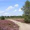 Chalet Schoonhoeve