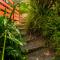 Treetop Bach - Hahei Bach