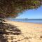 Coconut Palms On The Bay