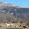 Casa Rural Pirineu Nevà - Nevà