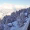 Greppons O 020 - MOUNTAIN apartment 5 pers