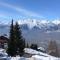 Diablerets SKI LIFT & MOUNTAIN apartments
