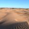 berber sahara - Zagora