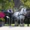 La Ferme Saint Simeon Spa - Relais & Chateaux photo 17