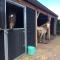 B&B Johannahoeve Veluwe