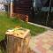 Hostel Pascalis Alesd