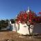 Chateaux des Trulli