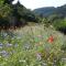 The Conscious Farmer Bed and Breakfast Sauerland - Willingen