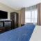 Comfort Inn & Suites Surprise Near Sun City West