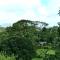 Finca Sueno de Osa