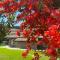 Ruda Lodge Exclusive Bed & Breakfast