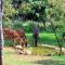 Elements Private Golf Reserve 109 and or 111 - Moheme