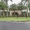 GreenLinks Golf Villa at Lely Resort - Shell Island