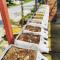 Rick Resort Teluk Intan