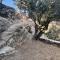 Avdos olive house - land tales