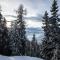 Rustic wooden chalet in Betten Valais near the Aletsch Arena ski area - Betten