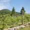 Rustic chalet with dishwasher, in the High Vosges - Le Ménil