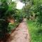 KABINI FARM STAY