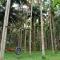 KABINI FARM STAY