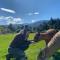 Alpacas Off Grid - Eco Cabin